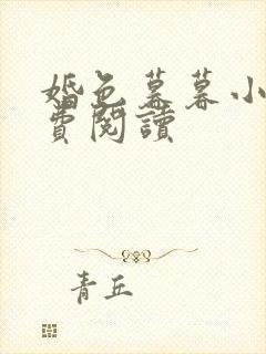 婚色暮暮小说免费阅读封面