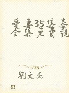 爱妻35集泰剧全集免费观看国语版