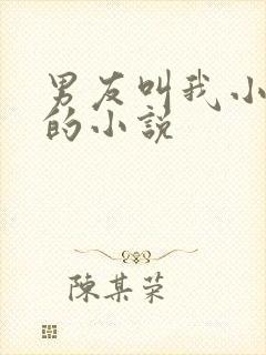 男友叫我小骚b的小说
