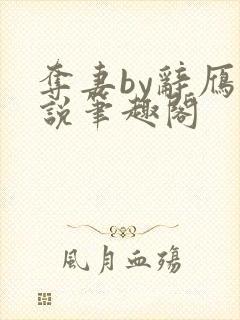 夺妻by辞雁小说笔趣阁封面