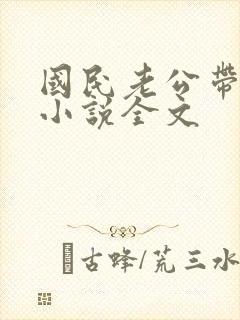 国民老公带回家小说全文