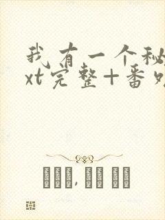 我有一个秘密txt完整+番外