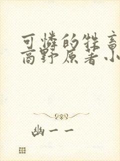 可怜的牲畜周颂商野原著小说