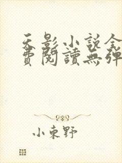 天影小说全文免费阅读无弹窗