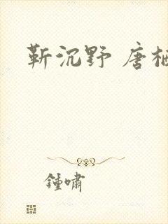 靳沉野 唐栖雾封面