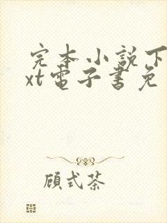 完本小说下载txt电子书免费下载