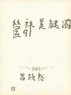 丝袜美腿国产一区91封面