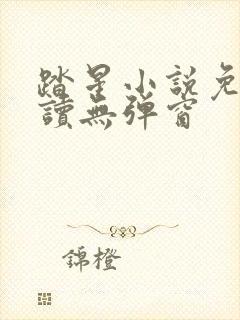 踏星小说免费阅读无弹窗