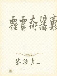 西西大胆高清人体艺术摄影封面