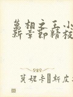 万相之王小说最新章节精校版