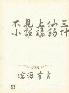 不见上仙三百年小说讲的什么