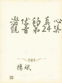 潜伏的真心免费观看第24集