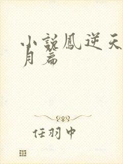 小说凤逆天下北月篇