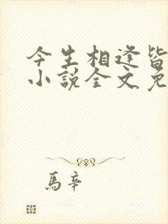 今生相逢皆是错小说全文免费阅读