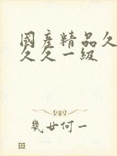 国产精品久久久久久一级