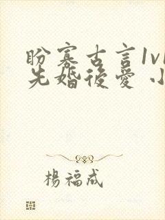 盼寡古言1v1先婚后爱 小说免费