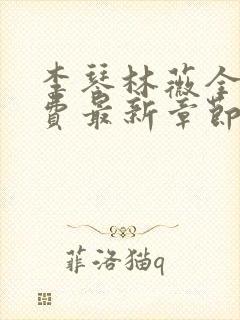 李琴林薇全文免费最新章节阅读封面