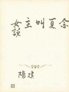 女主叫夏念的小说