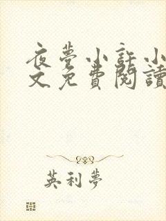 夜梦小许小说全文免费阅读