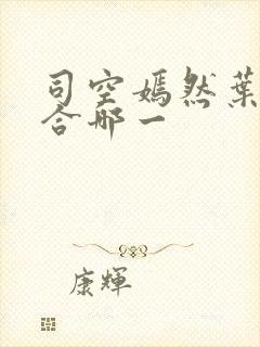 司空嫣然叶凡结合哪一