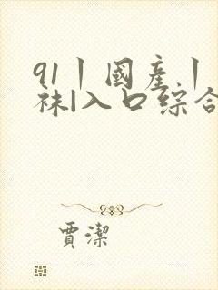 91丨国产丨丝袜|入口综合