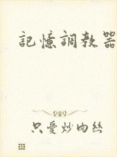 记忆调教器封面