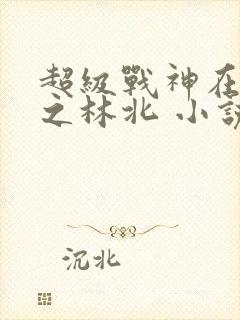 超级战神在都市之林北 小说封面