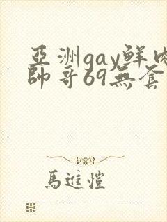 亚洲gay鲜肉帅哥69无套xxx