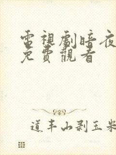 电视剧暗夜黎明免费观看