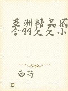 亚洲精品国产综合99久久小说