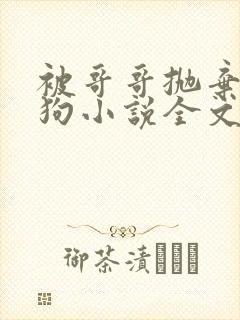 被哥哥抛弃的小狗小说全文阅读封面