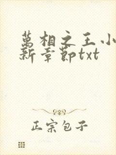 万相之王小说最新章节txt