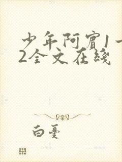 少年阿宾1一72全文在线