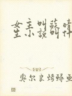 女主叫苏晴的重生小说叫什么名字