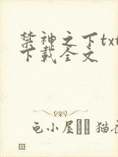 禁神之下txt下载全文封面