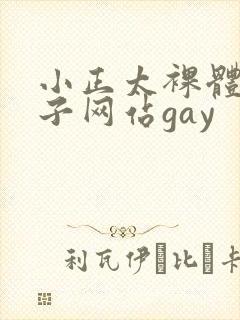 小正太裸体脱裤子网站gay