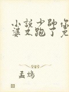 小说少帅你的老婆又跑了免费阅读封面