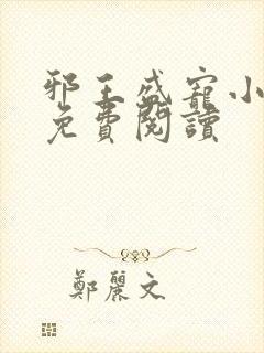 邪王盛宠小毒妃免费阅读