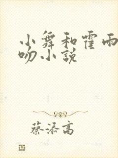 小舞和霍雨浩热吻小说封面