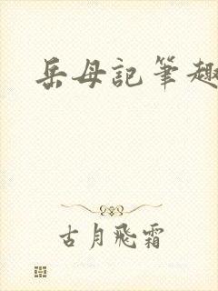 岳母记笔趣阁