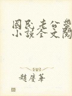 国民老公带回家小说全文阅读免费