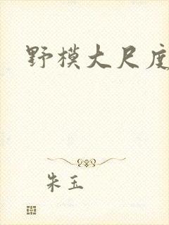 野模大尺度