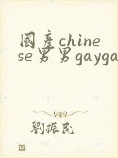 国产chinese男男gaygay网站xnxx