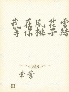 我在风花雪月里等你桃子结局封面