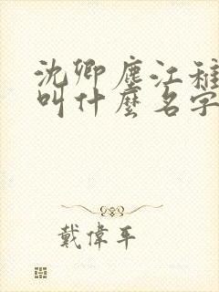 沈卿尘江稚小说叫什么名字