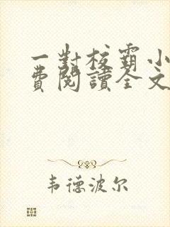 一对校霸小说免费阅读全文无弹窗