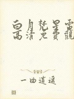 白月梵星电视剧高清免费观看全集封面