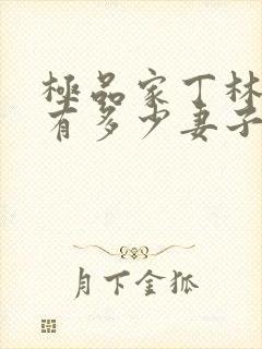 极品家丁林晚荣有多少妻子