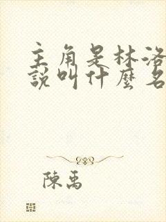 主角是林洛的小说叫什么名字