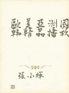 欧美亚洲国产日韩精品播放